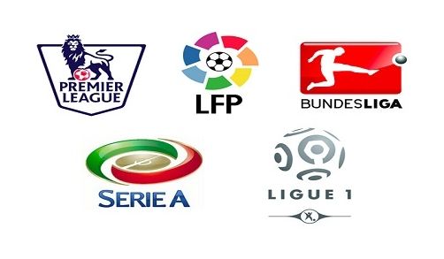 了亞洲玫瑰 了亞洲玫瑰